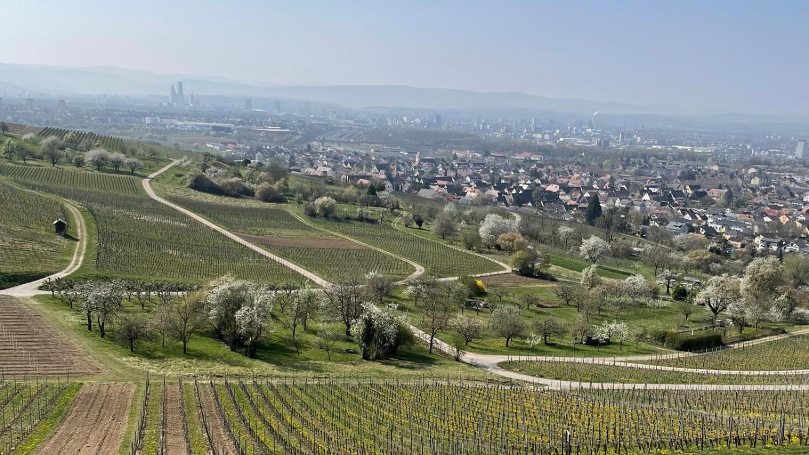 Landgasthof Rebstock Weil Am Rhein / Basel Eksteriør bilde